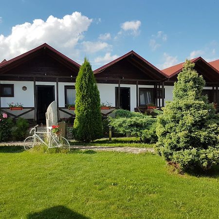 Albestii Paminteni Pensiunea Valea Argesului المظهر الخارجي الصورة