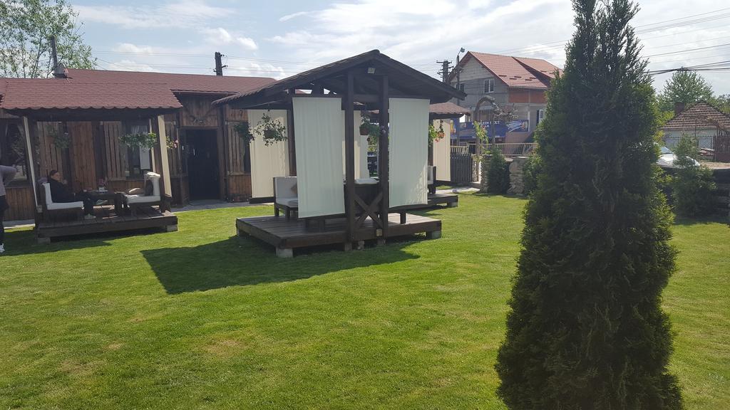 Albestii Paminteni Pensiunea Valea Argesului المظهر الخارجي الصورة