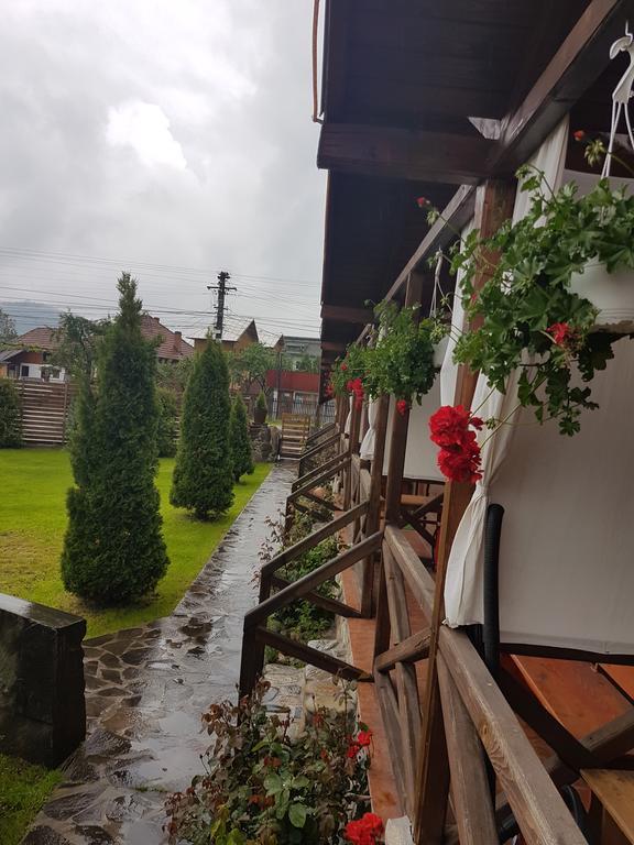 Albestii Paminteni Pensiunea Valea Argesului المظهر الخارجي الصورة