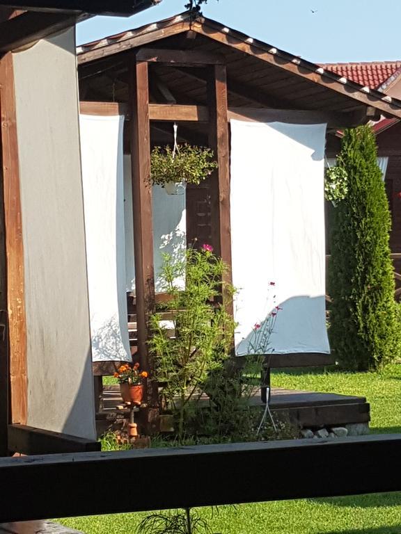 Albestii Paminteni Pensiunea Valea Argesului المظهر الخارجي الصورة