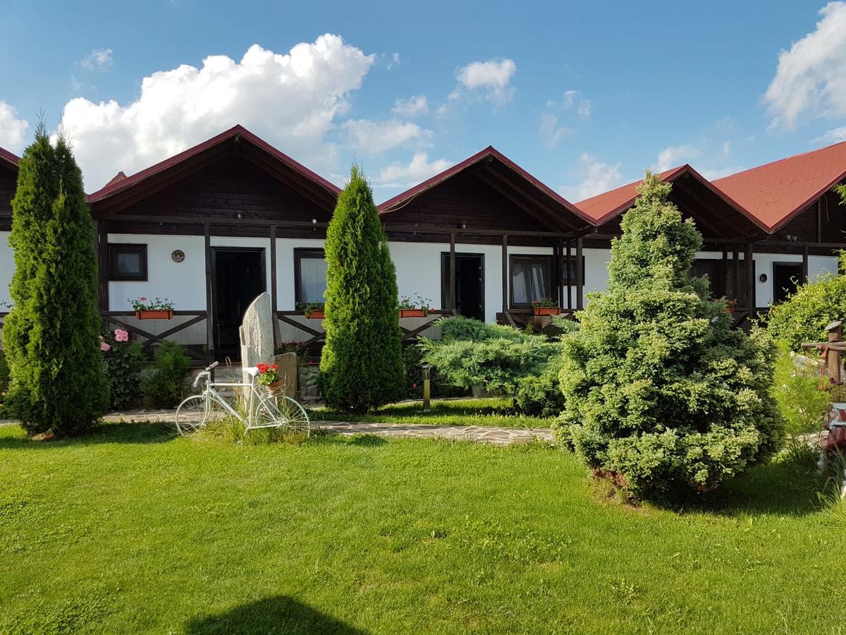 Albestii Paminteni Pensiunea Valea Argesului المظهر الخارجي الصورة
