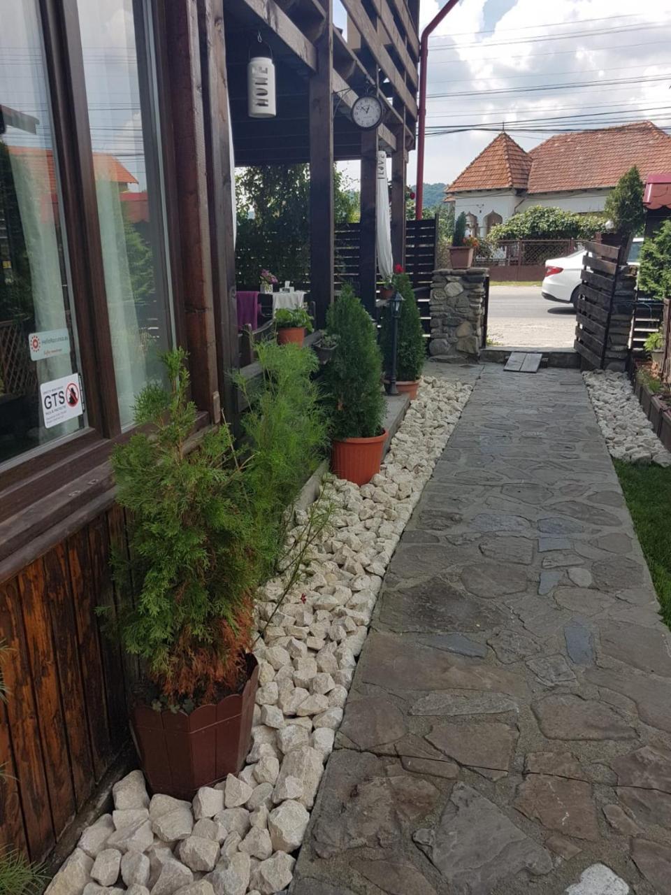 Albestii Paminteni Pensiunea Valea Argesului المظهر الخارجي الصورة